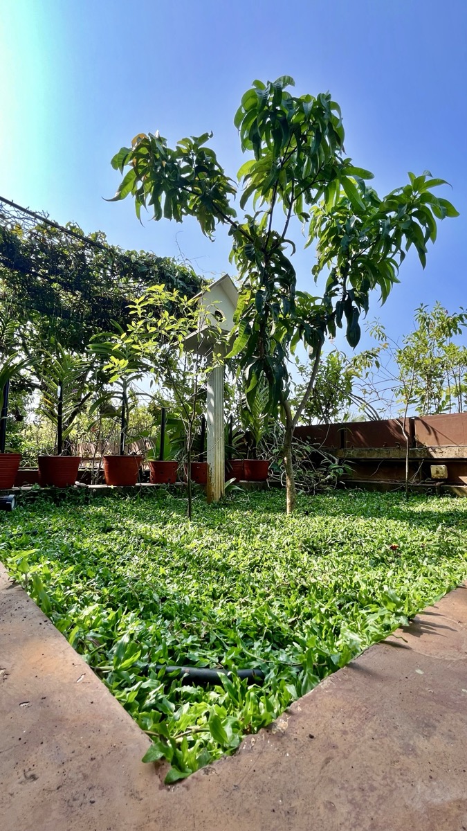 Nature Sanctuary 2