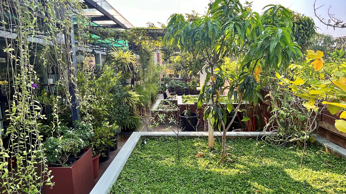 Nature Sanctuary 3
